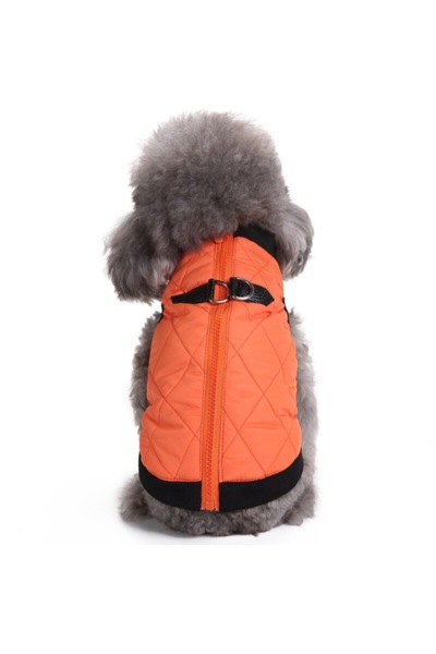 fara marca Vesta pentru catei portocaliu M 30cm lungime