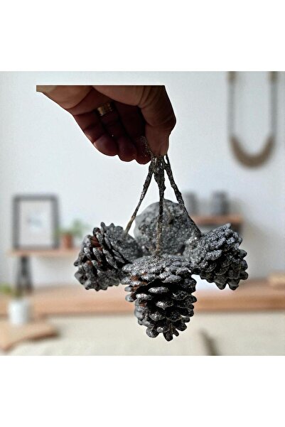 ART PINE Acetat viral, cutie cu 4 bucăți, paiete colorate, con natural - Orna...