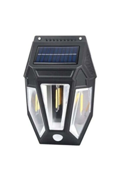 Otto Solar LED lamp with motion sensor 19 x 12 cm, wall mounting