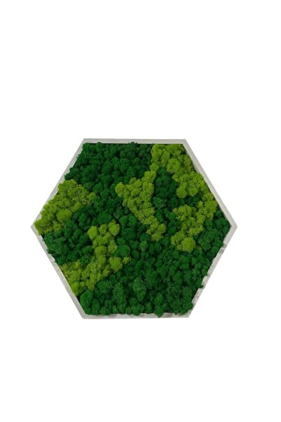 ALVAL Tablou hexagonal cu mușchi stabilizat, verde deschis/închis, 42x37 cm, ...