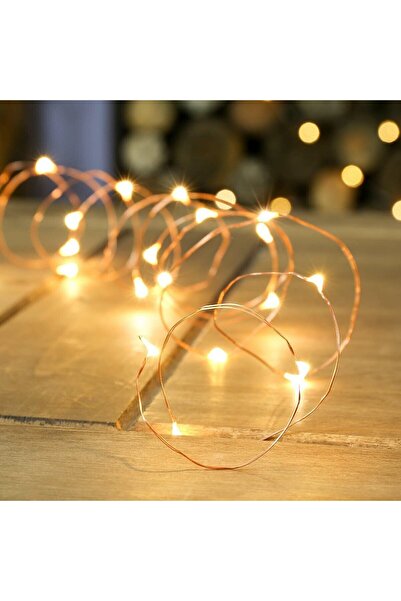 Flippy Lumini de Crăciun, Liniare, 5 m, Baterie, 50 LED-uri, Alb cald, Sârmă de cupru, 2 Moduri de iluminare, Interior/Exterior