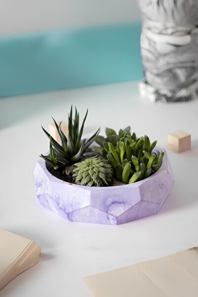 betonmall Çok Amaçlı El Yapımı Fasetli Beton Kase/Tabak | Sukulent Saksısı, M...