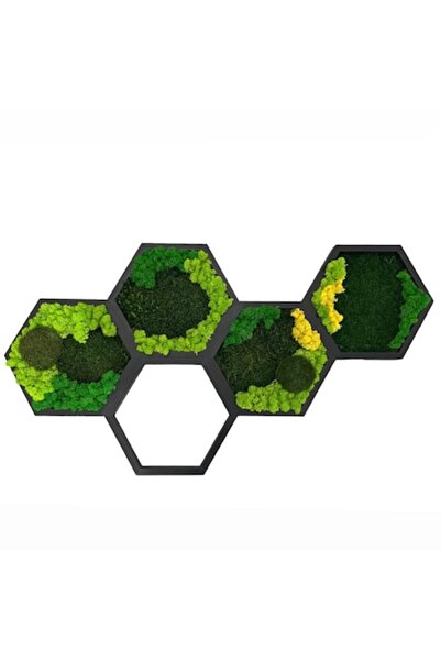 ALVAL Set tablouri hexagonale decorate cu muschi si licheni naturali stabiliz...