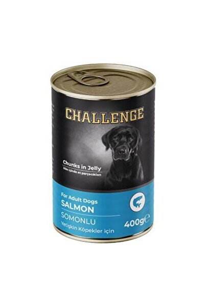 Challenge KONSERVE KÖPEK SOMONLU 400 GR