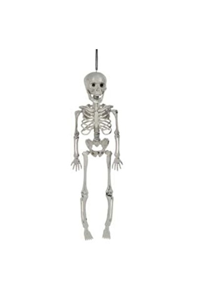 OEM Schelet realist de Halloween 40 cm
