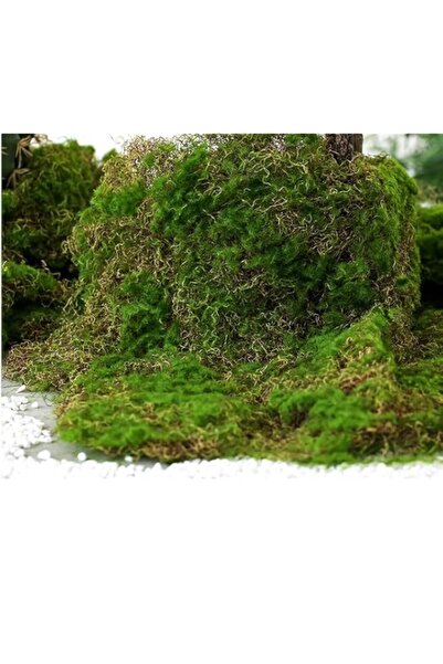 Generic Brand YRJ Artificial Moss Sheet - Real Touch Fake Green Moss for Pott...