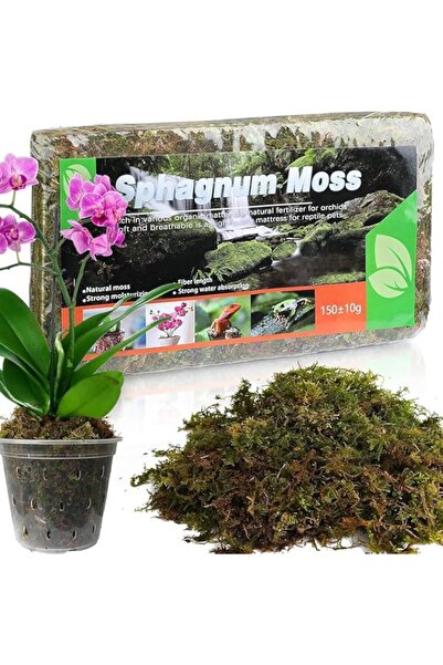 Generic Artificial Fake Moss for Fake Plants Indoor, Premium Faux Craft Moss ...