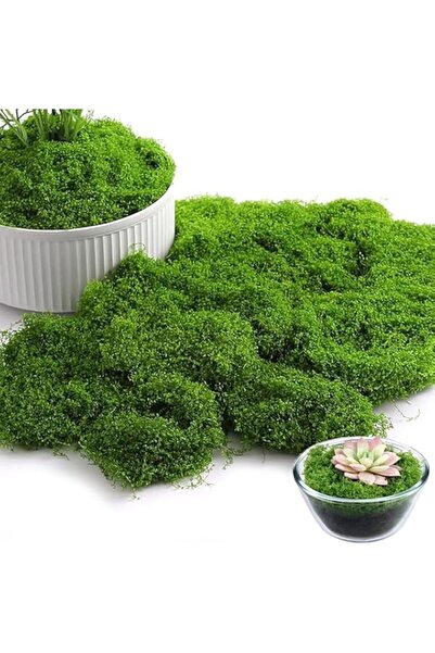 Generic 200g Artificial Moss Decor - Premium Faux Green Moss for Indoor Plant...