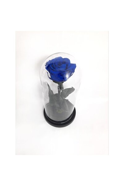 OEM Premium Blue Cryogenated Rose in Glass Dome, 25cm