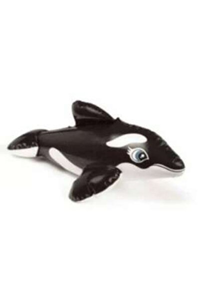 Intex Inflatable Toy for Pool or Bathtub, 58590, Black Dolphin, 30 cm