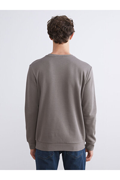 LC Waikiki Ανδρικό φούτερ Crew Neck