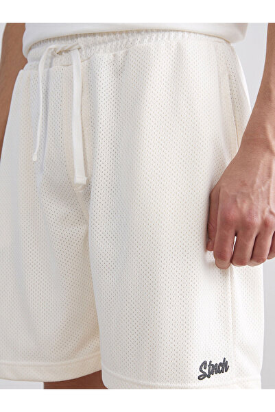 LC Waikiki Vizyon New Season Comfortable Fit Men's Shorts