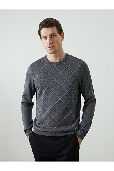 LC Waikiki LCWAIKIKI سترة تريكو كلاسيكية برقبة دائرية وأكمام طويلة للرجال