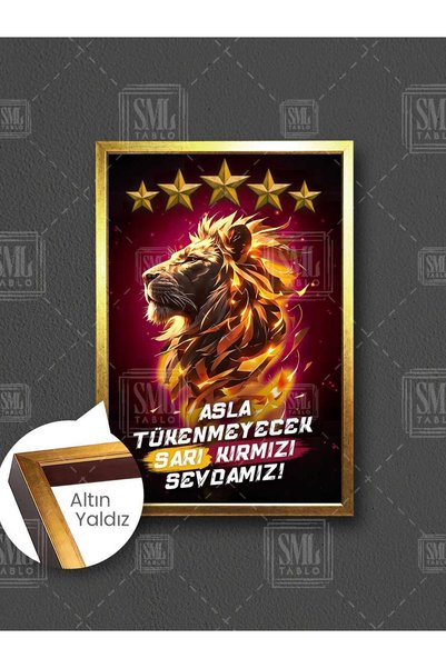 SML TABLO 25. Şampiyonluk 5 Yıldız Sarı Kırmızı Sevda Futbol Taraftar Çerçeve...