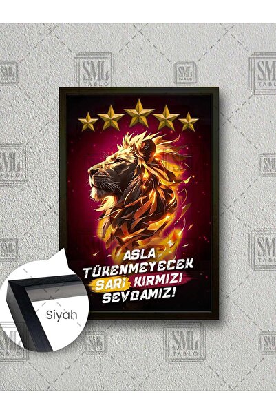 SML TABLO 25. Şampiyonluk 5 Yıldız Sarı Kırmızı Sevda Futbol Taraftar Çerçeve...