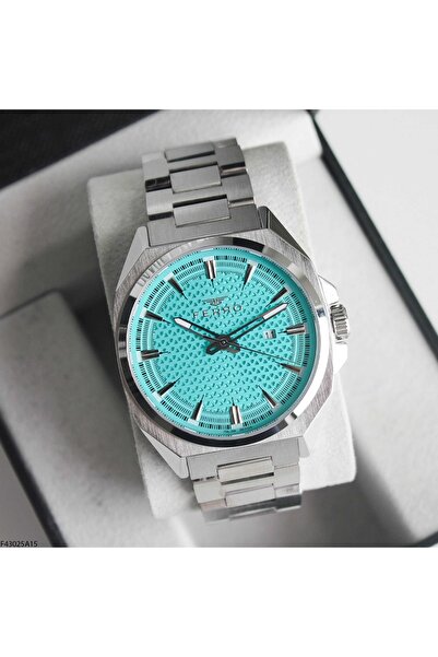 FERRO F43025A15 Men's Wristwatch with Steel Band