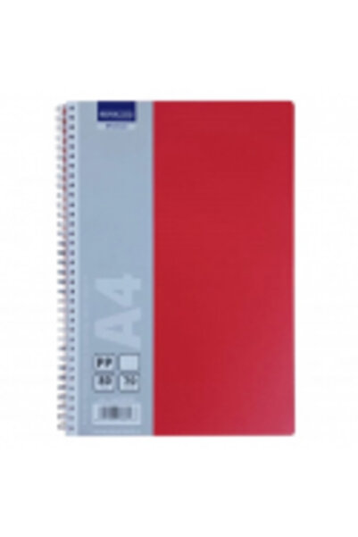 PAPERLAND Caiet spiralat A4, 80 file, dictando