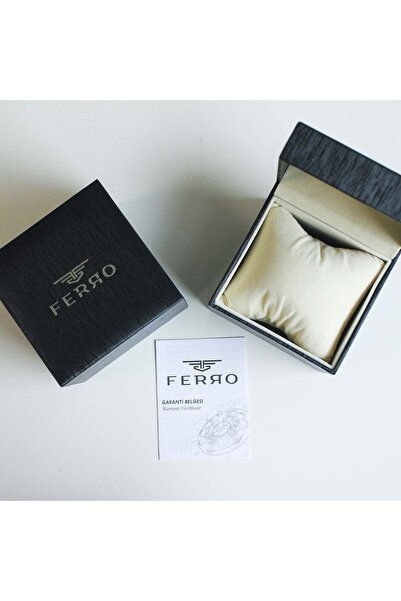 FERRO Fm43027A3 Men's Wristwatch with Steel Strap