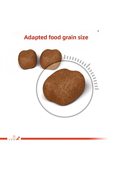 Royal Canin Oral Care Cat Food 1.5 Kg