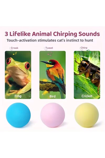 Silvanature كرة اللعب التفاعلية للحيوانات الأليفة مع الصوت