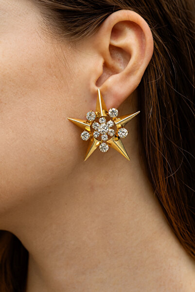 Leo'Stone Big Star Design Full Zircon Stone Women's Evening Dress Steel Earrings