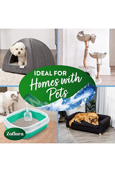 Zoflora Multipurpose Disinfectant Spray, Antibacterial Spray, Antiviral Spray, Air Freshener, Pet Sa