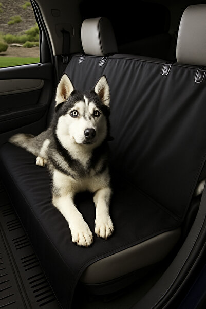 AlaPet Husă de protecție pentru scaunul de mașină Saltea impermeabilă pentru ...