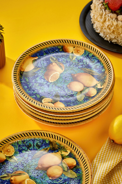 EMBazaar 6-Piece Lemon Garden Series Full Pattern Cake Presentation Plate/Dessert Plate/Breakfast Serving Plate/Plate