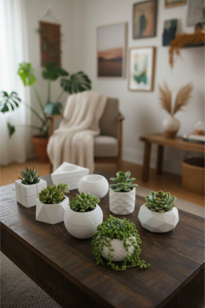 decoronay Dekoratif 8 li Sukulent & Kaktüs Saksısı - Dekoratif Ev & Ofis Saksısı