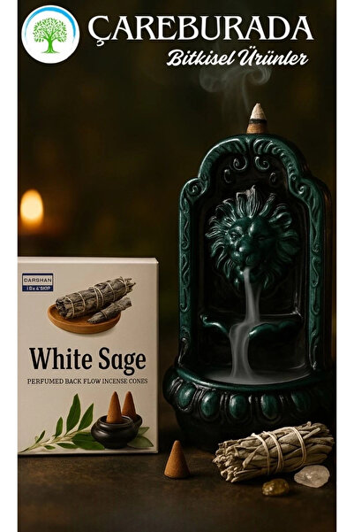 Çare Burada White Sage Geri Akış Tütsüsü + Aslan Ağzı Seramik Şelale Tütsülük