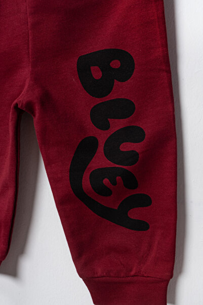 Pırlanta baby Set of 2 Baby Pajamas with Printed Pockets