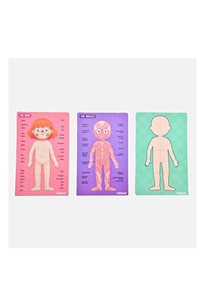 Kollektif Kitap Seti Body Magnet Yeni