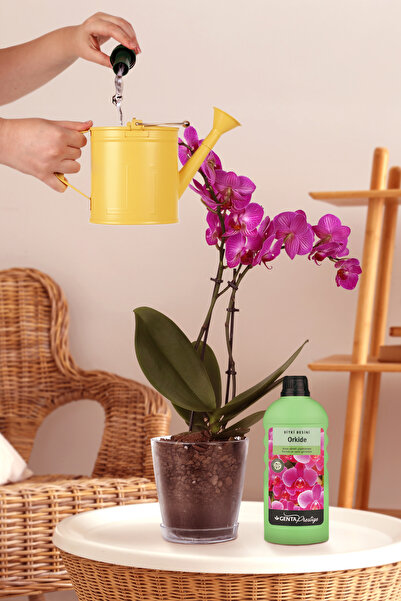 Genta Prestige Orkide Sıvı Besini Sıvı Gübre 500 ml
