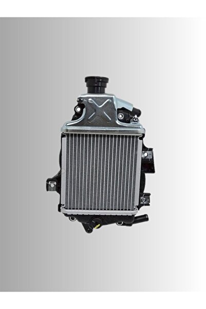 Csr Honda Pcx 125 2018-2020 Radyatör Orijinal -19100-k97-t00-