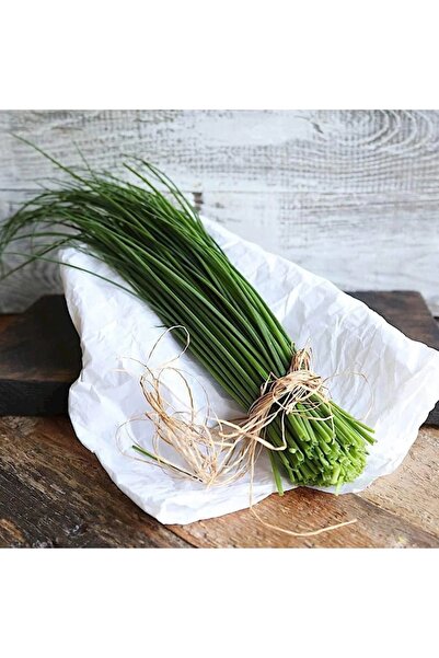 ZENGARDEN EV VE BAHÇE Onion chives Frenk soğanı tohumu soğan otu ince yapraklı