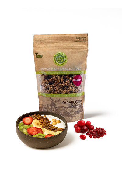 GLUTENSİZ FABRİKA Cranberryli Yulaf & Karabuğday Granola 300 G (GLÜTENSİZ & VEGAN)