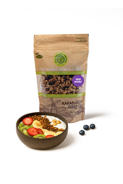 GLUTENSİZ FABRİKA Yabanmersinli Yulaf & Karabuğday Granola 300 G (GLÜTENSİZ & VEGAN)