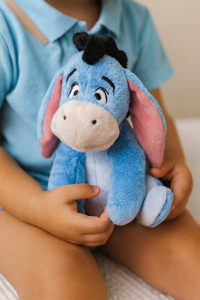 TOYFEST Çizgi Film Karakter Peluş Bebekleri - Eeyore Core 25 Cm