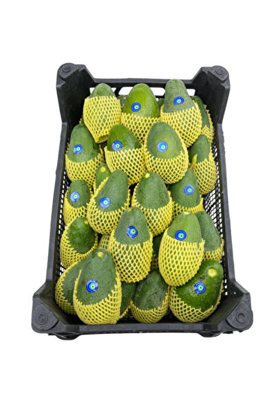 akdeniz hazinesi Avokado 1 Kg - Yerli Antalya Avokadosu, Taze & Yeni Hasat