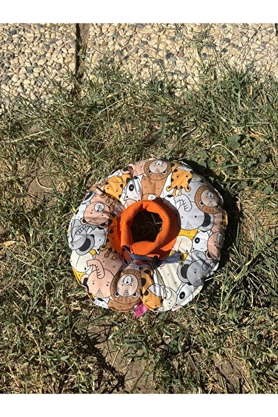 Petris Cat And Dog Neck Collar-elizabeth Collar Operation Neck Collar-cat Nec...