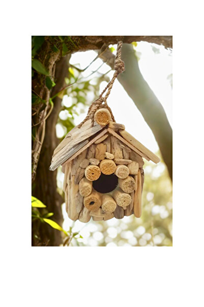 Home Lodos Dalı Driftwood Ahşap Kuş Yuvası Büyük 25 Cm