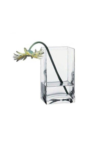 Paşabahçe 80136 Flora Botanica Vazo 18cmX10cmX8cm waffle ve süs düzenleme Vazosu