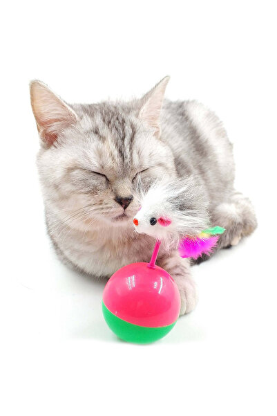 Omuta Hacı Yatmaz Cat Toy Catching Game with Mouse Ball Moving Pet Fun Activity Game