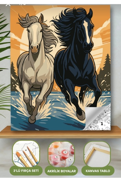 Denic Hobi Sayılarla Boyama Seti 40x50 Cm (Çıtalı) Fırça Boya Dahil Numaralı ...