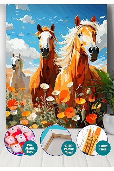 Denic Hobi Sayılarla Boyama Seti 40x50 Cm (Çıtalı) Fırça Boya Dahil Numaralı ...