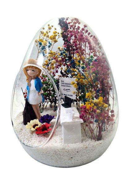 Çiçek Tasarım Sanatları Terrarium Egg Glass Jar Health Care Provider Doctor Good Luck Gift for Friend Lover Business Promotion