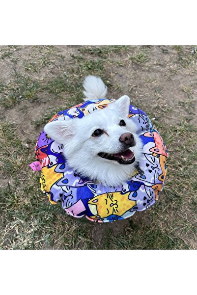 Petris طوق رقبة للقطط والكلاب - طوق إليزابيث - طوق رقبة للعمل - وسادة رقبة لل...