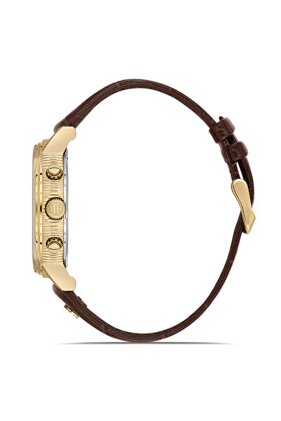 Hislon Dt121G-02Kg Men's Watch
