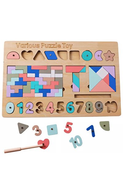 Toyska Educational wooden game 5 activities Various Puzzle Toy, multicolor