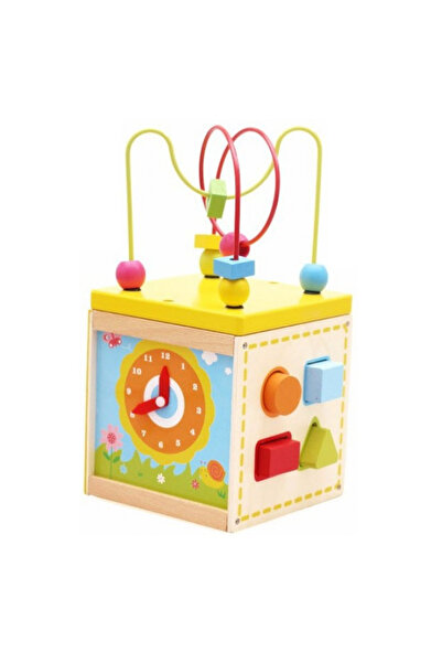 Toyska Cub educativ Montessori 5 in 1 Multi Maze Box, multicolor